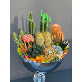 ÖZEL LÜX CANLI TERARYUM